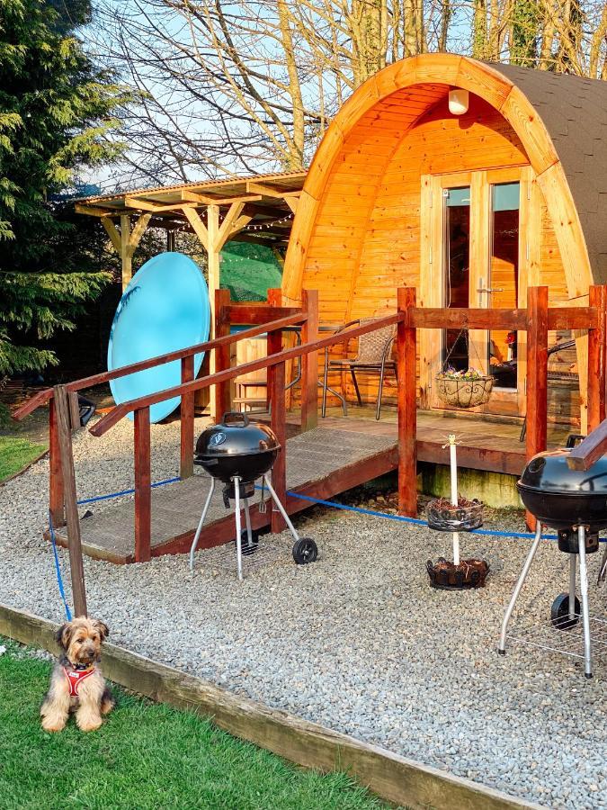 Log Cabin Kells  Extérieur photo