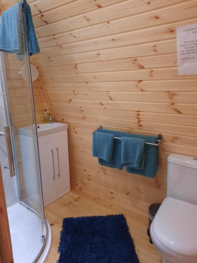 Log Cabin Kells  Extérieur photo